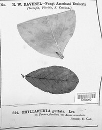 Image Associated With the Occurence